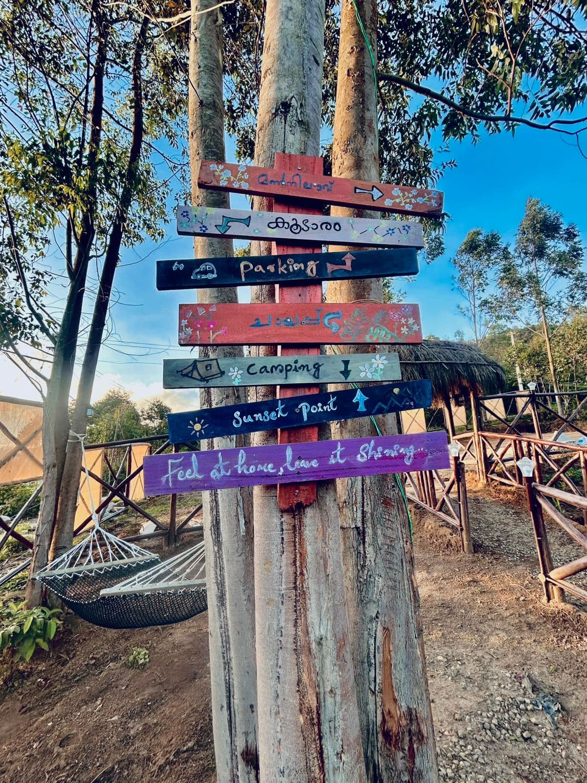 Hand-painted wooden signposts nailed to a eucalyptus tree